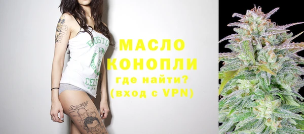 тгк Абаза