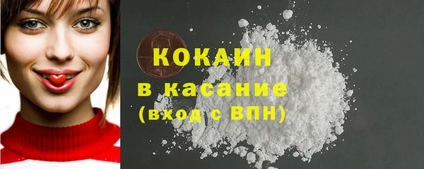 тгк Абаза