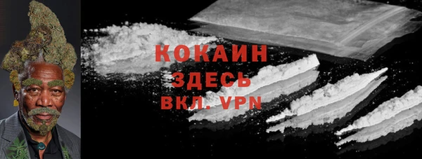 тгк Абаза