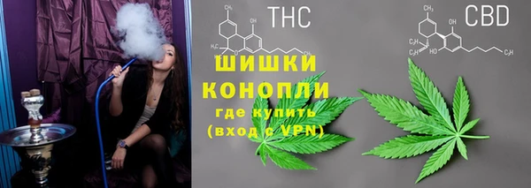 тгк Абаза