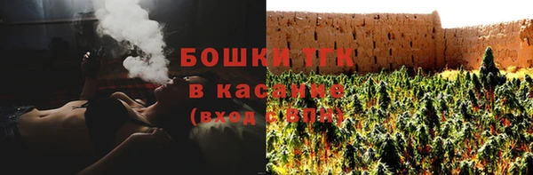 тгк Абаза