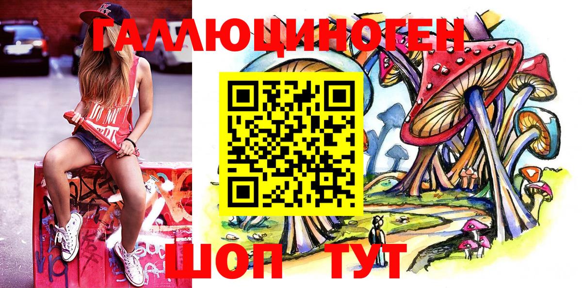 Галлюциногенные грибы GOLDEN TEACHER Луга