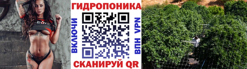 Конопля планчик  где найти наркотики  Луга 